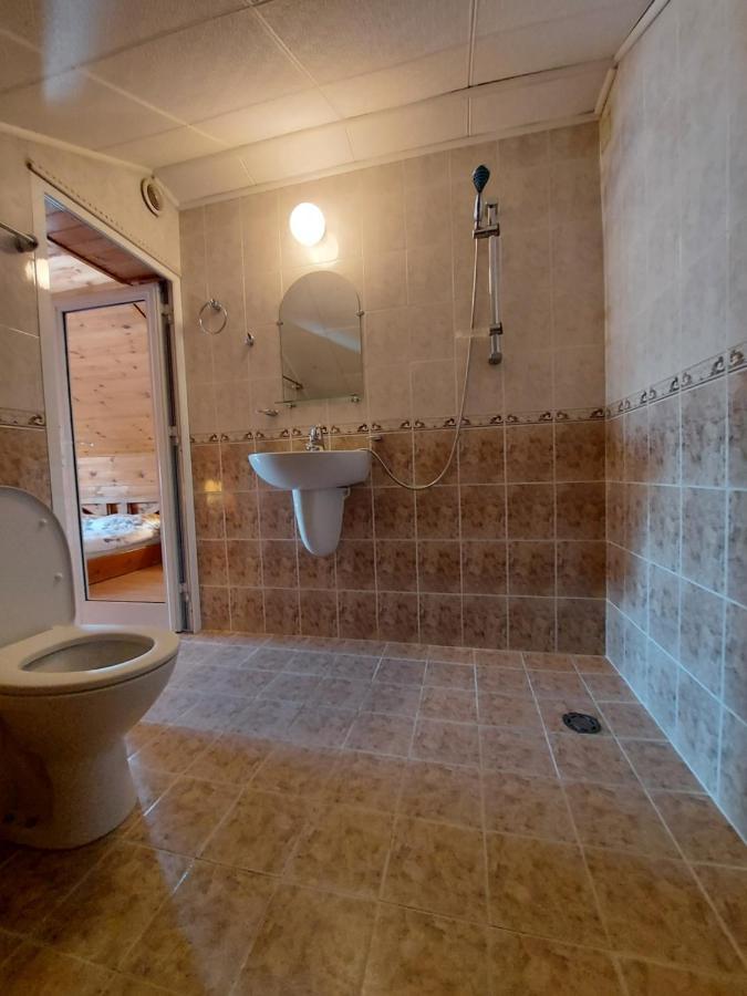 Vasi Apartments دوبرينيشت المظهر الخارجي الصورة